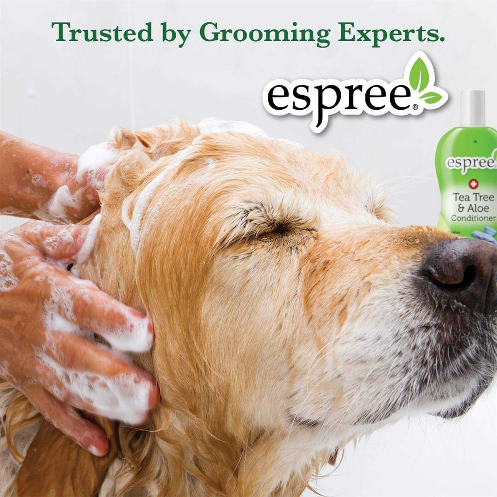 Silky Show Shampoo F9754