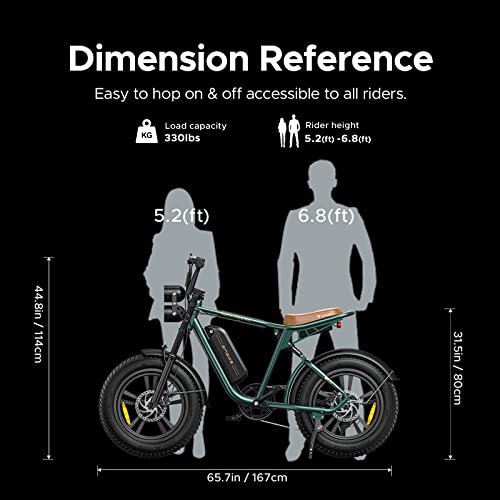 1000W Electric Bike with 48V 26Ah Battery K1493