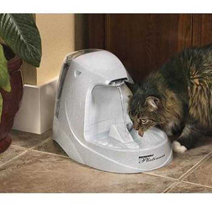 Platinum Pet Fountain W571346