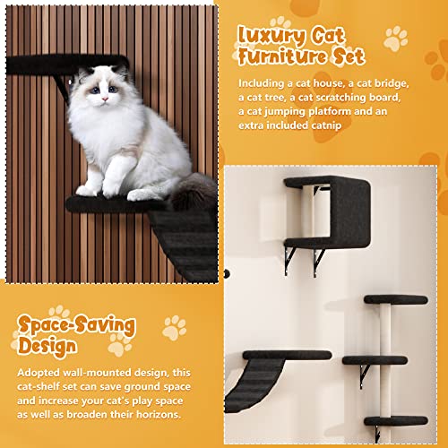 Beige 5 Pcs Wall-Mounted Cat Climber Set with Cat Shelves, Ladder, Cat Condo House, Scratching Board and Cat Tree V923706