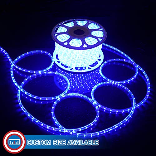 Blue LED Rope Lights 50 Z5959