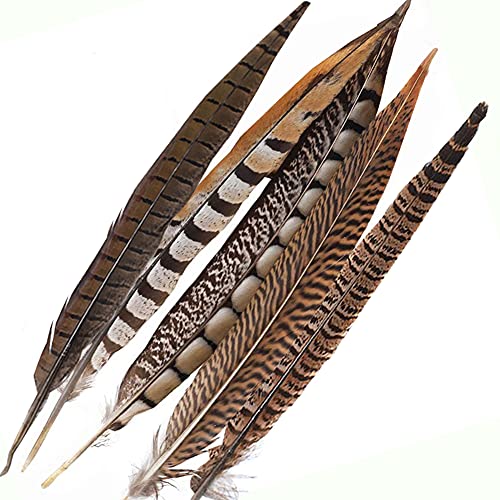 Natural Pheasant Feathers 12pcs 15-20cm W236