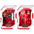 Complete Set of 2 WWE Wrestling Action Figures M806147