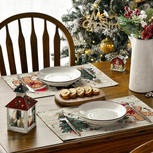 Set of 4 12x18 Inch Christmas Placemats Y2244