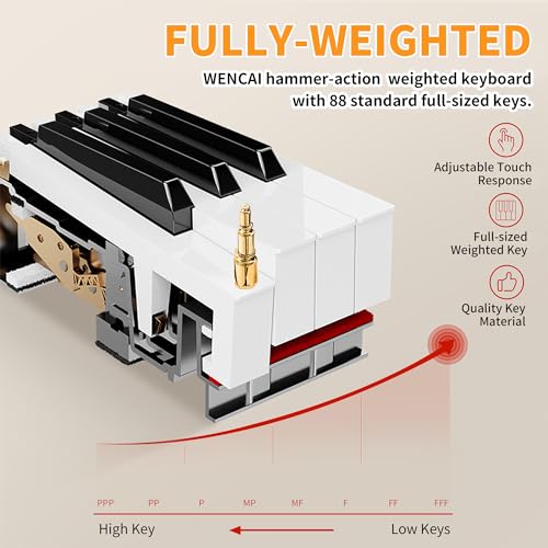 Black 88 Key Fully Weighted Hammer Action Digital Piano B483389