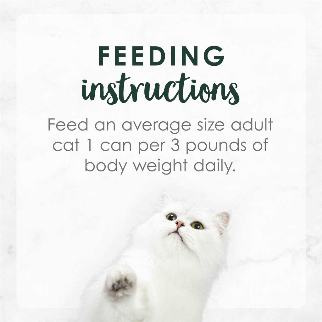 Gravy Wet Cat Food A3868