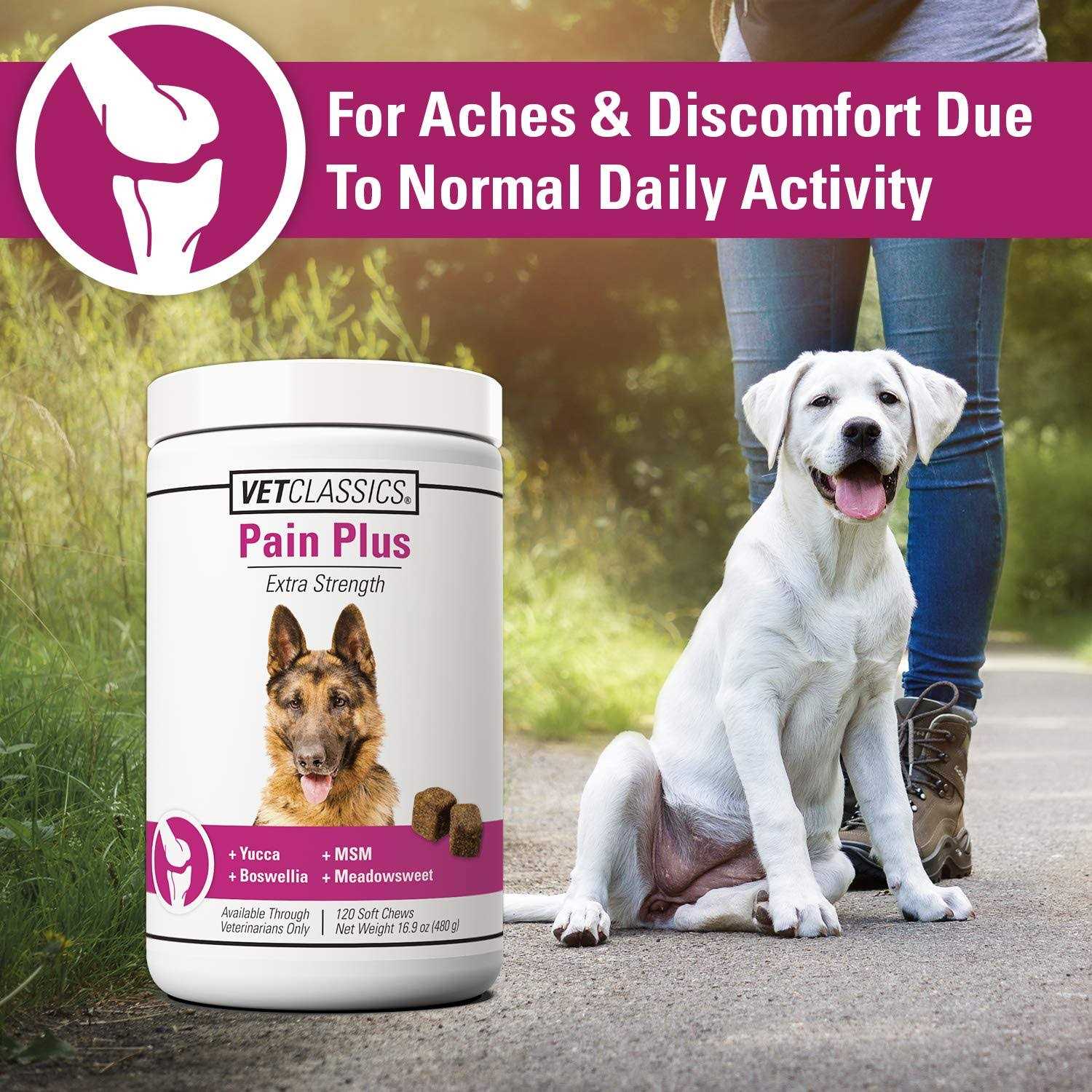 Pain Plus for Dogs P178205