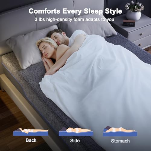 12 Inch Queen Size Memory Foam Mattress E6741