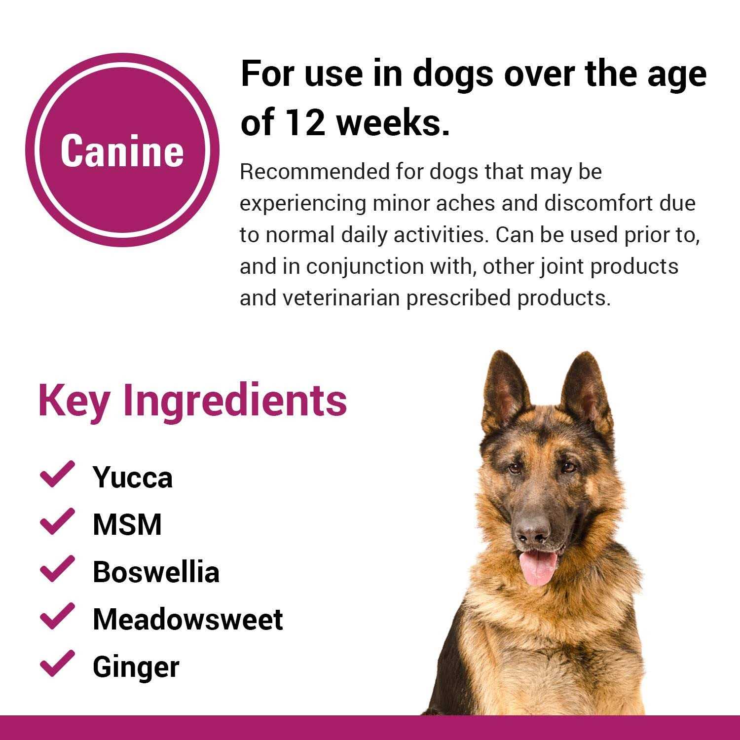 Pain Plus for Dogs P178205