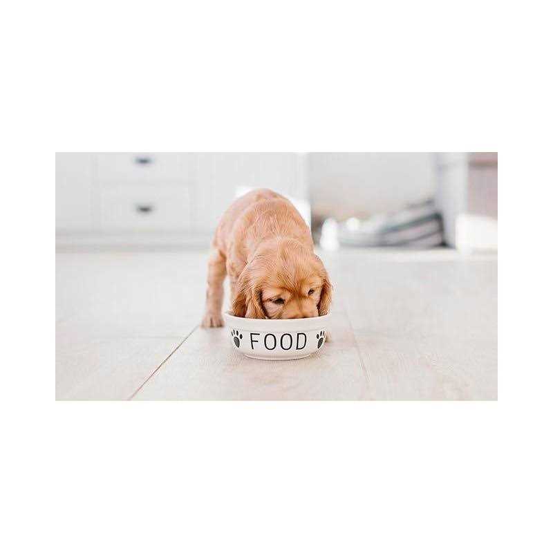 Puppy Formula Chicken, Rice and Vegetable Dog Food X112333