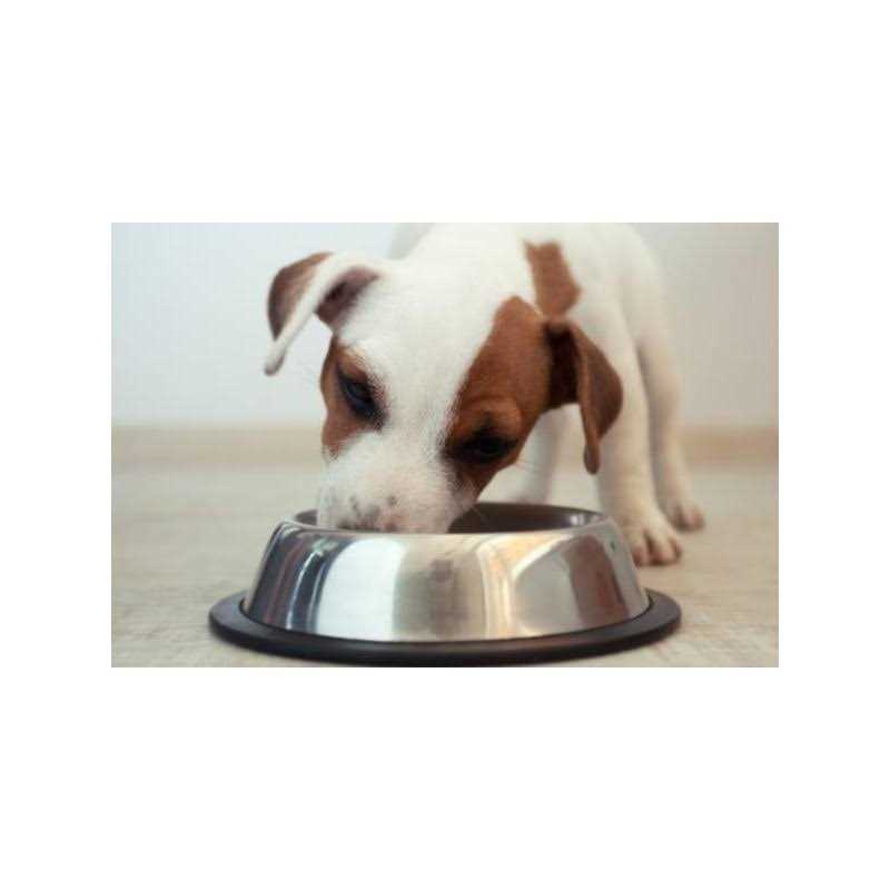 Puppy Formula Chicken, Rice and Vegetable Dog Food X112333