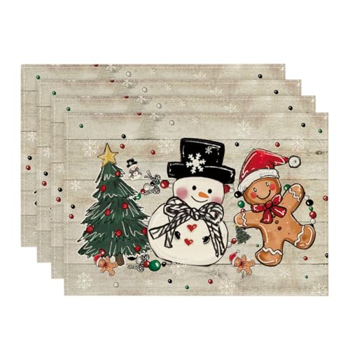 Set of 4 12x18 Inch Christmas Placemats Y2244