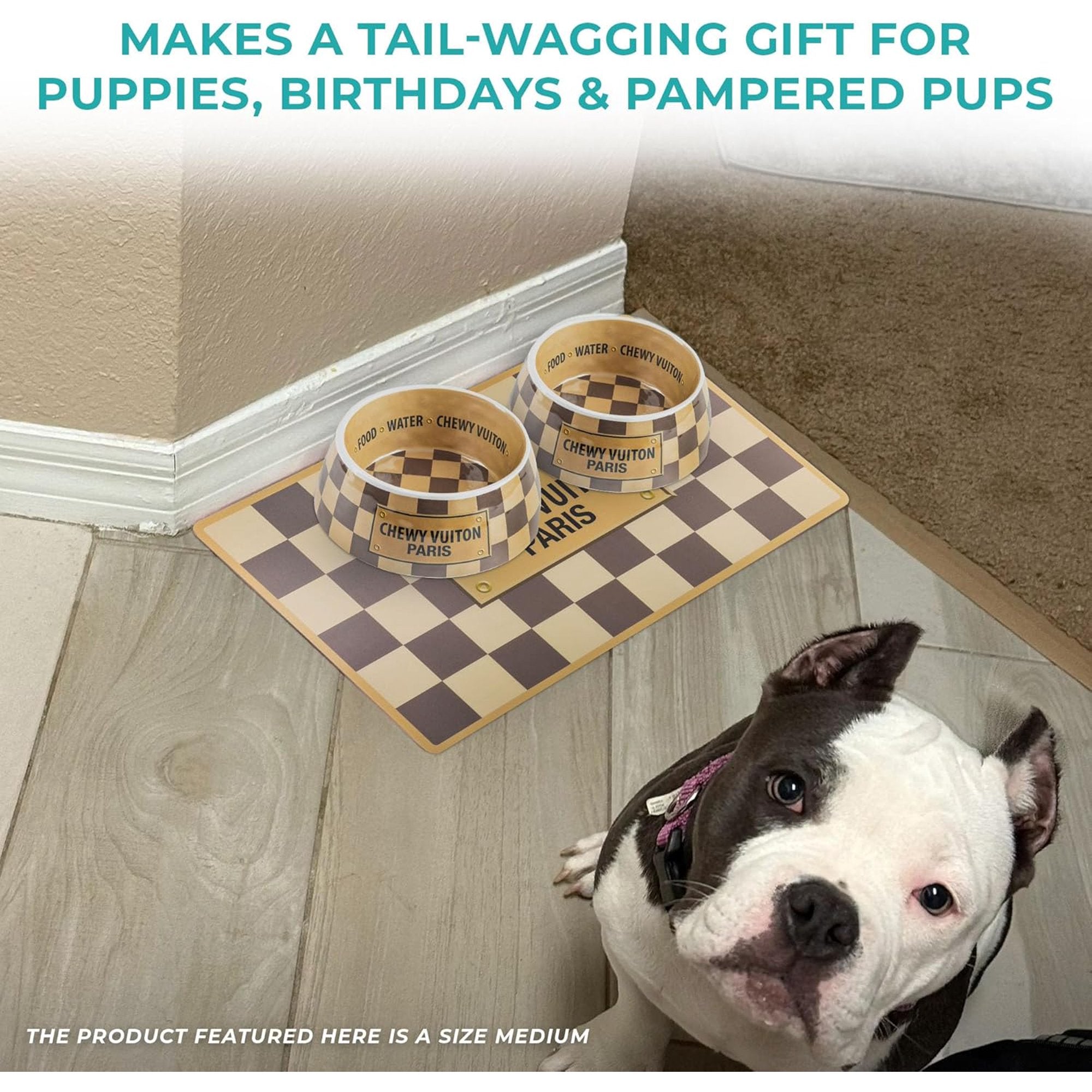 BPA-Free Non-Skid Dog Bowls with Placemat, Case of 2 V294249