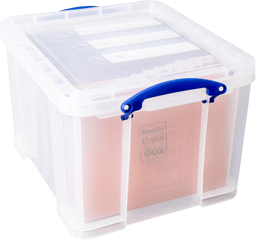 35 Litre Clear Storage Box with 2 Dividers Y473