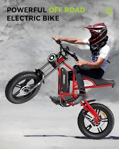 Electric Dirt Bike 20 inch Fat Tire 300+ lbs Heavy Duty Mountain Bicycle e-Bike N470