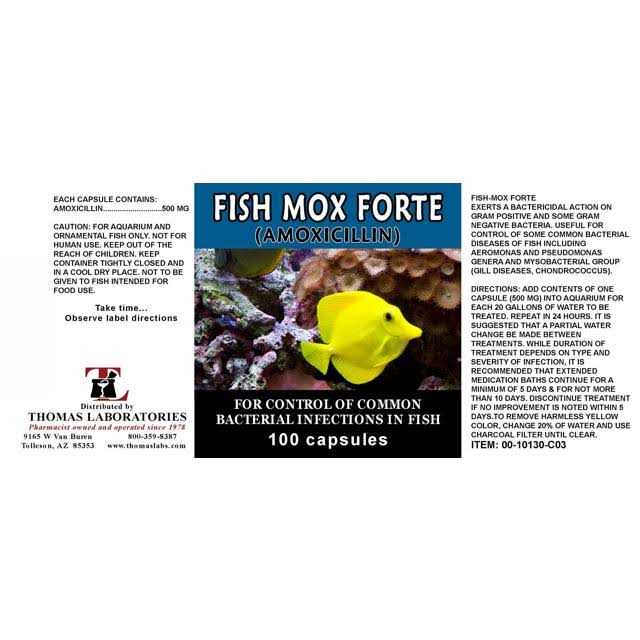 Fish Flex Forte 500 mg 100 Capsules P806