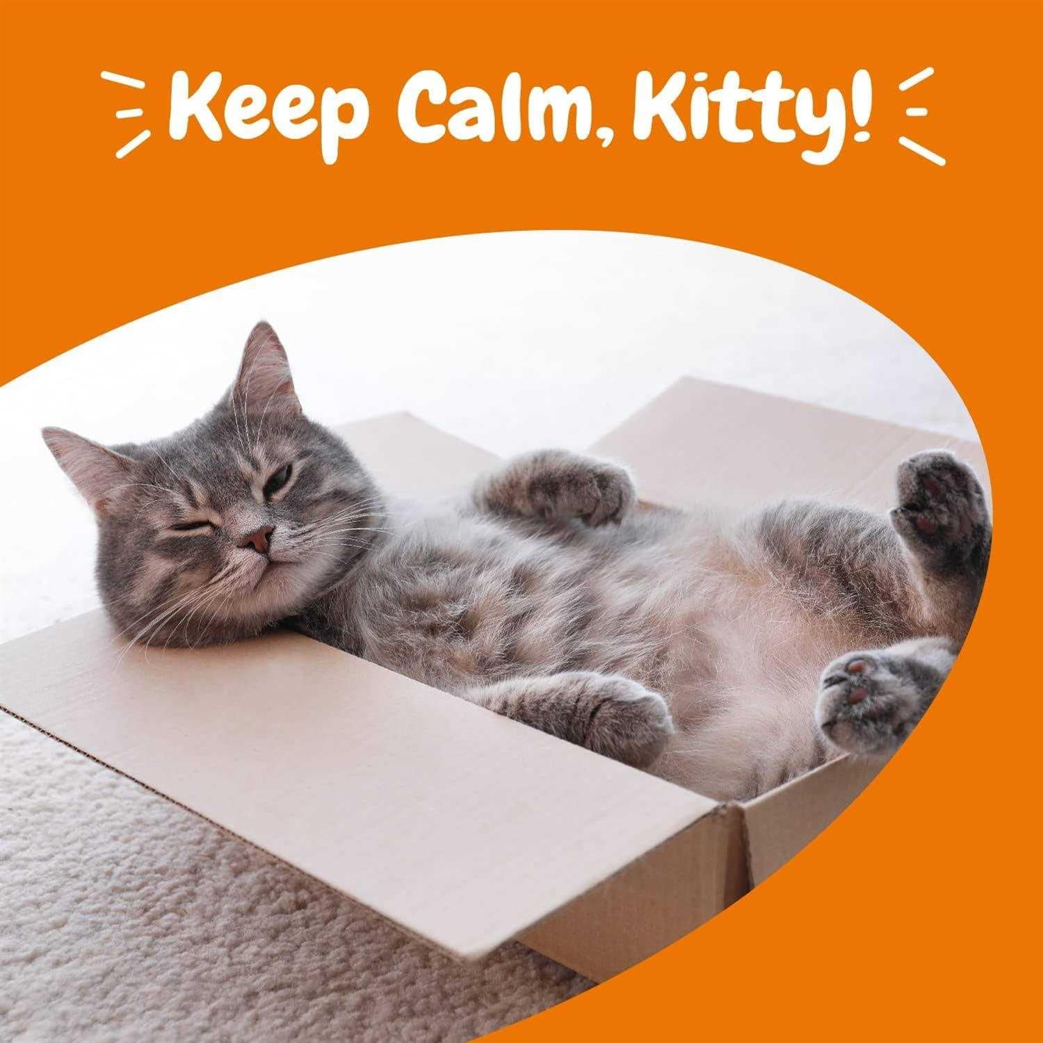 Calming Bites for Cats E285023