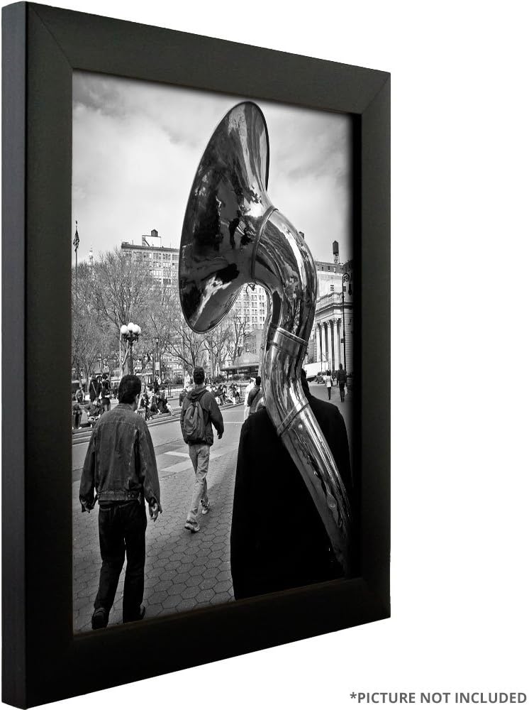 Matte Black 20 by 30-Inch Picture Frame N91677