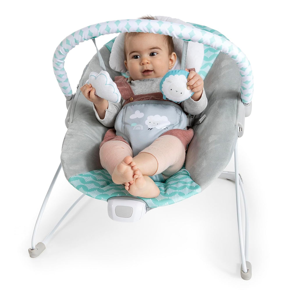 Baby Bouncer Seat, 0-6 Months Up to 20 lbs (Goji) F879073