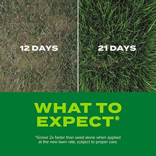 16 lbs. Grass Seed and Fertilizer Mix L279684