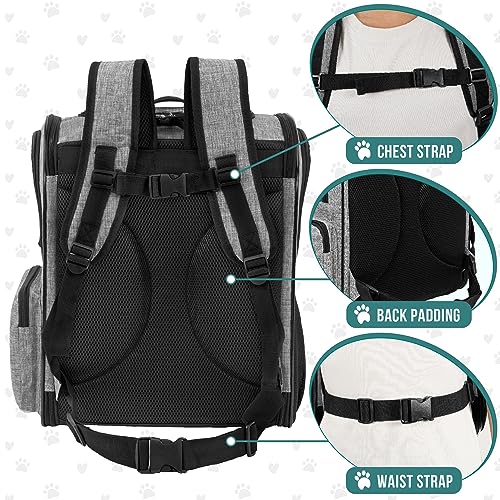 Black Dog Backpack Carrier U68158