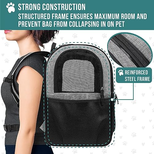 Black Dog Backpack Carrier U68158