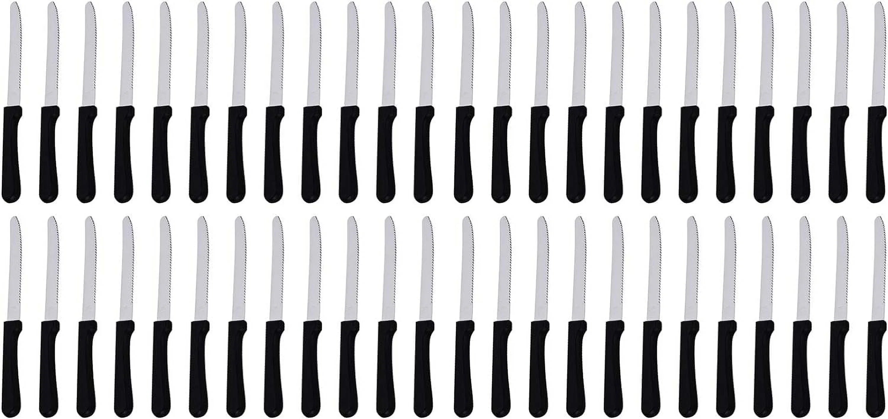 5-Inch Blade Steak Knives, Stainless Steel Serrated Blade With Plastic Handles D903621
