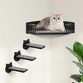 Cat Wall Shelves with 3 Steps J606513
