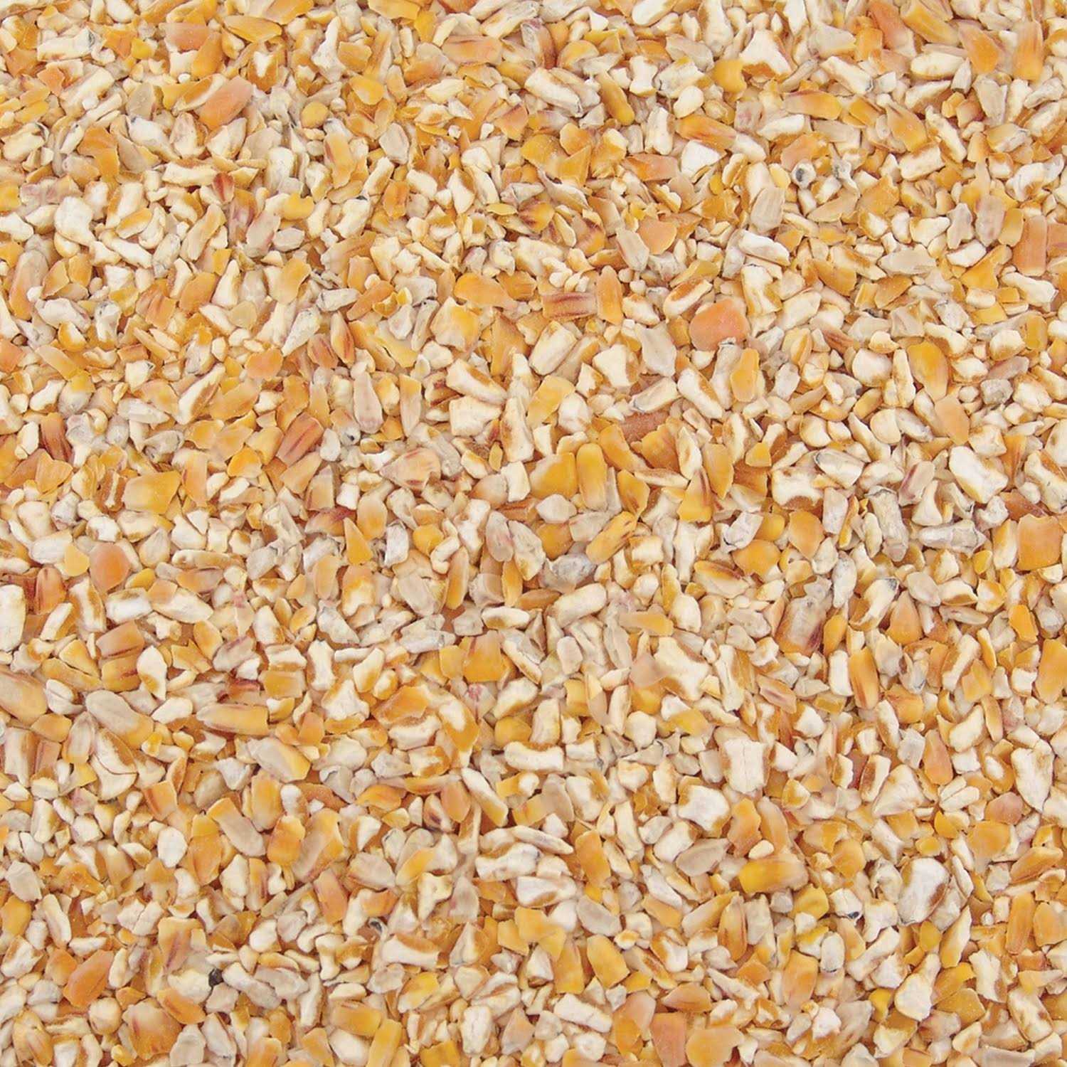 Corn Cracked Corn O523052