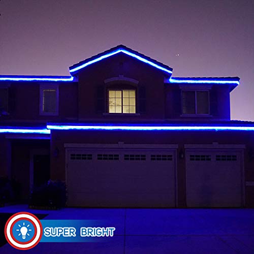 Blue LED Rope Lights 50 Z5959
