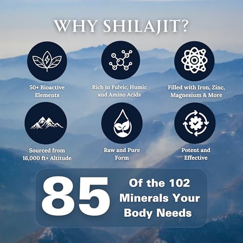Pure Shilajit Resin Dry Drops, 60 Tablets R466254