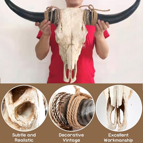 Black Longhorn Cow Skull Wall Decor, 31 x 24 x 7 inch Q687346