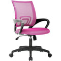 Blue Adjustable Ergonomic Mesh Office Chair J913156