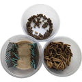 Small Roach Hornworm & Superworm Live Feeder Combo Reptile Food L2396