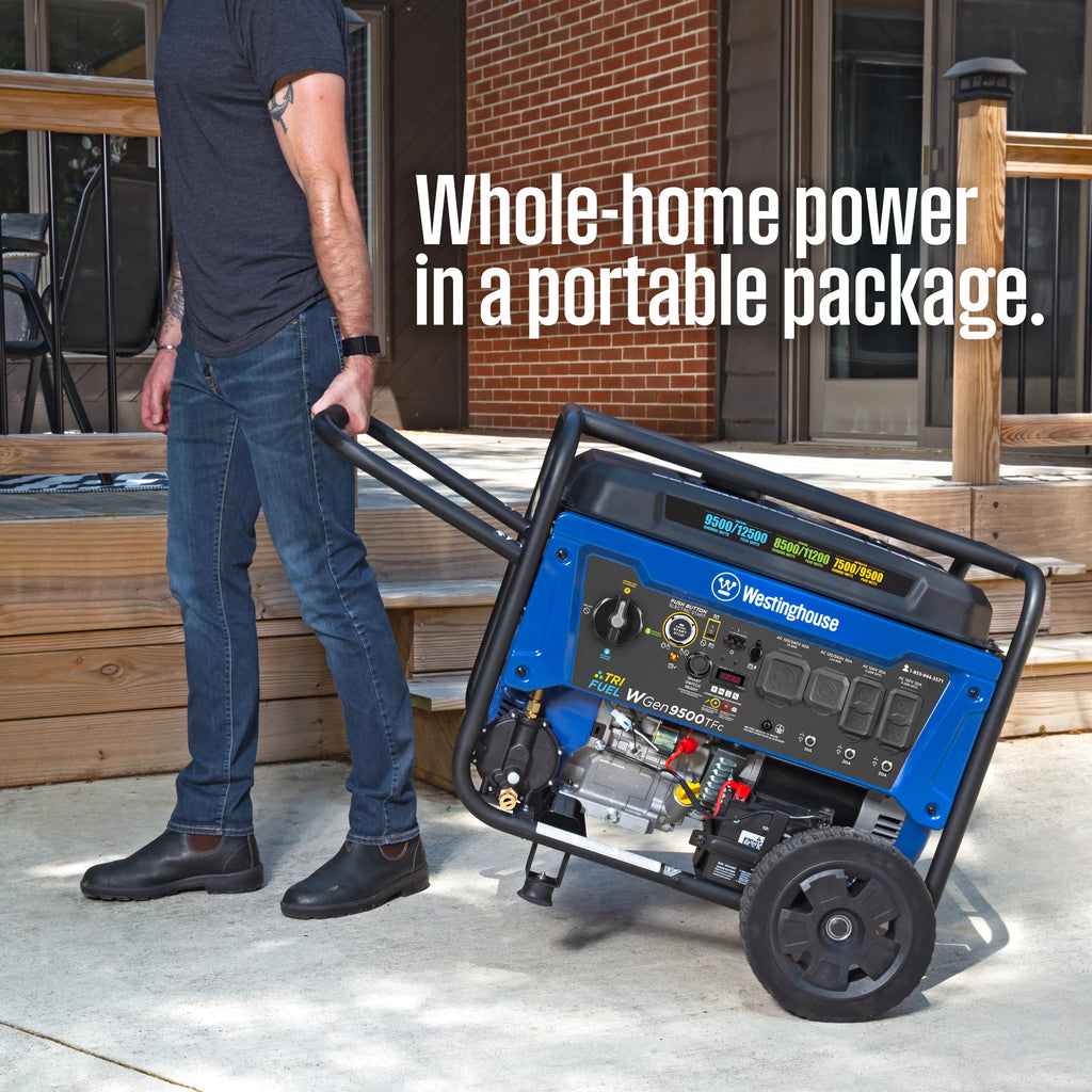12,500 Peak Watt Dual Fuel Portable Generator H124262