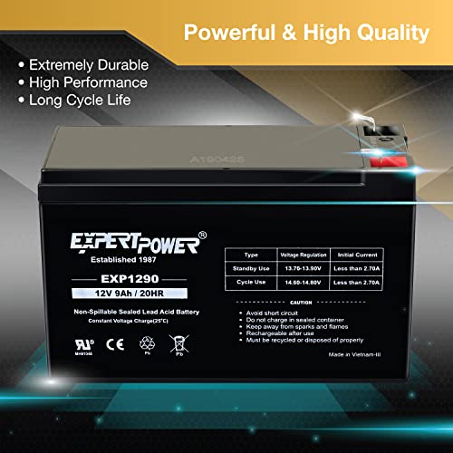 12v 9ah Sealed Lead Acid Battery with F2 Terminals 2 Pack P465