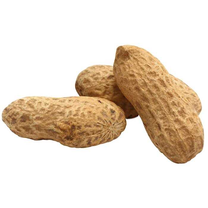 Unsalted In-Shell Whole Peanuts Bird Food E2372