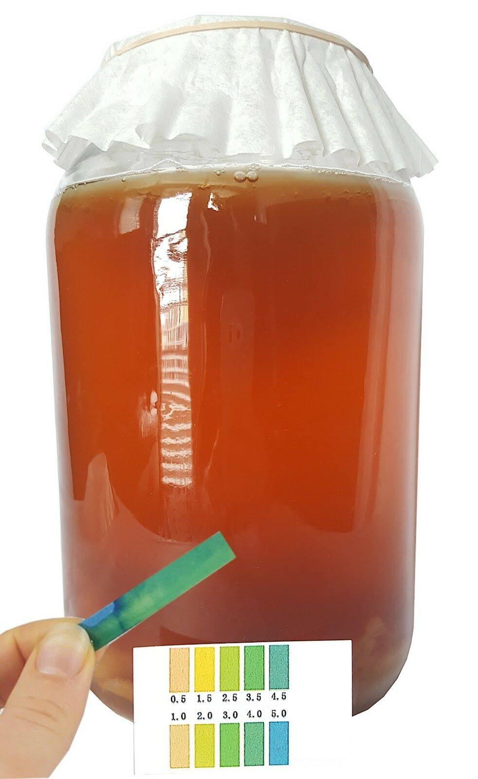 Kombucha Starter Kit with SCOBY, Starter Tea, Organic Sugar, Gallon Glass Jar with Lid T12499