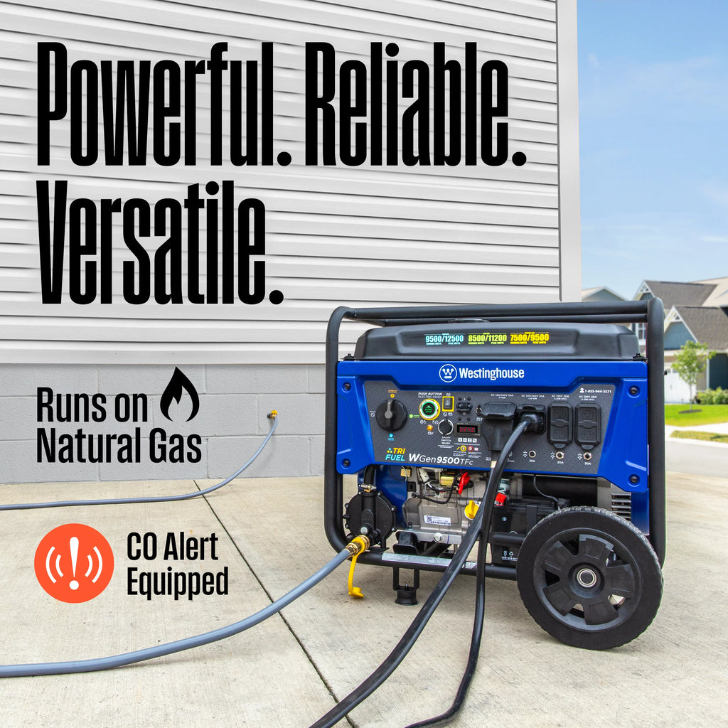 12,500 Peak Watt Dual Fuel Portable Generator H124262