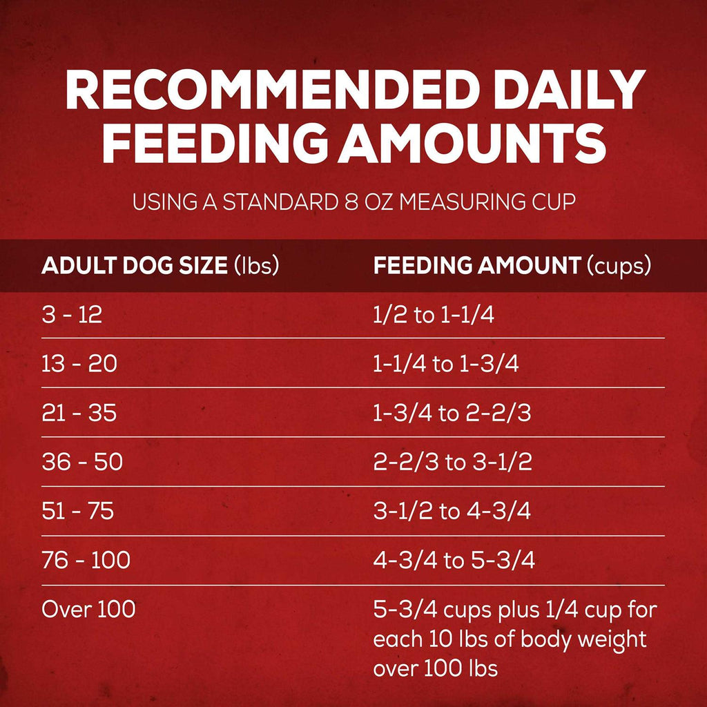 Savory Beef Dry Dog Food K49009