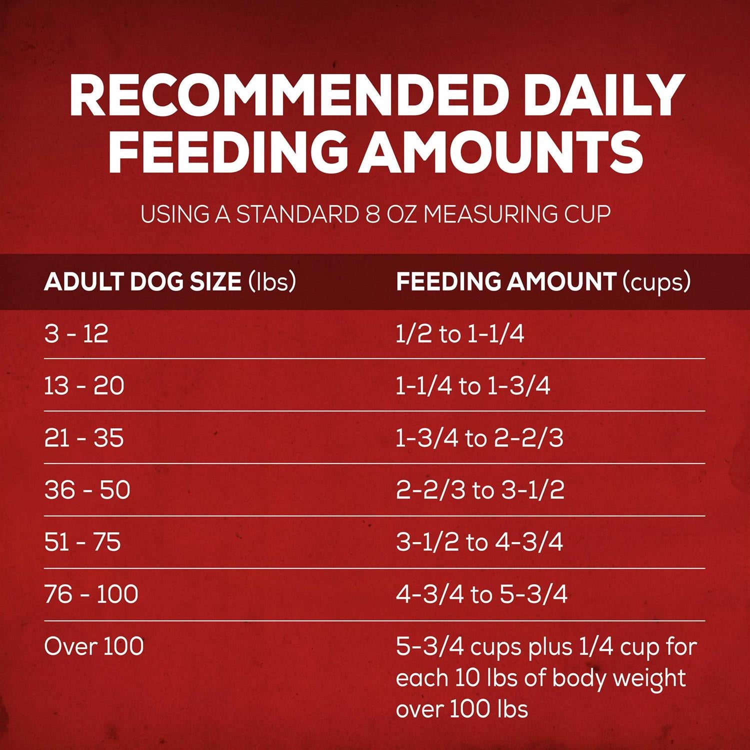 Savory Beef Dry Dog Food K49009