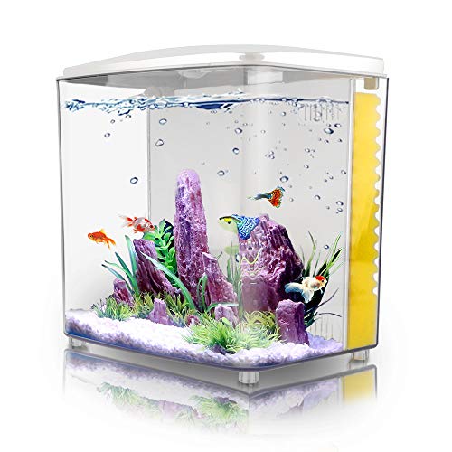 1.2 Gallon Square Fish Tank with LED Light and Filter Pump J7193