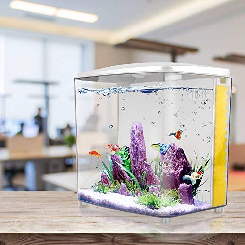 1.2 Gallon Square Fish Tank with LED Light and Filter Pump J7193