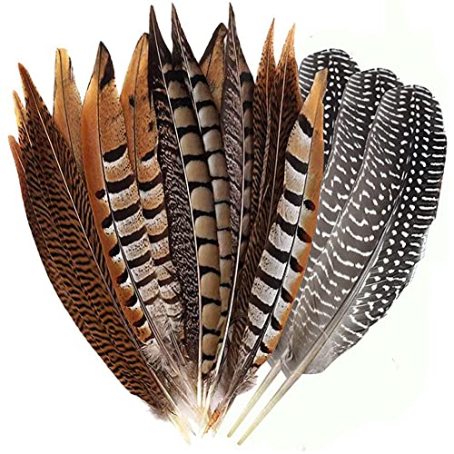 Natural Pheasant Feathers 12pcs 15-20cm W236