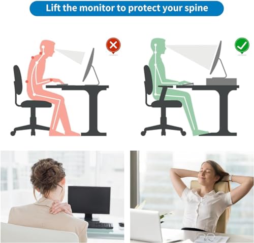 2-Tier Metal Monitor Stand Riser (Black) N4833