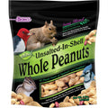 Unsalted In-Shell Whole Peanuts Bird Food E2372