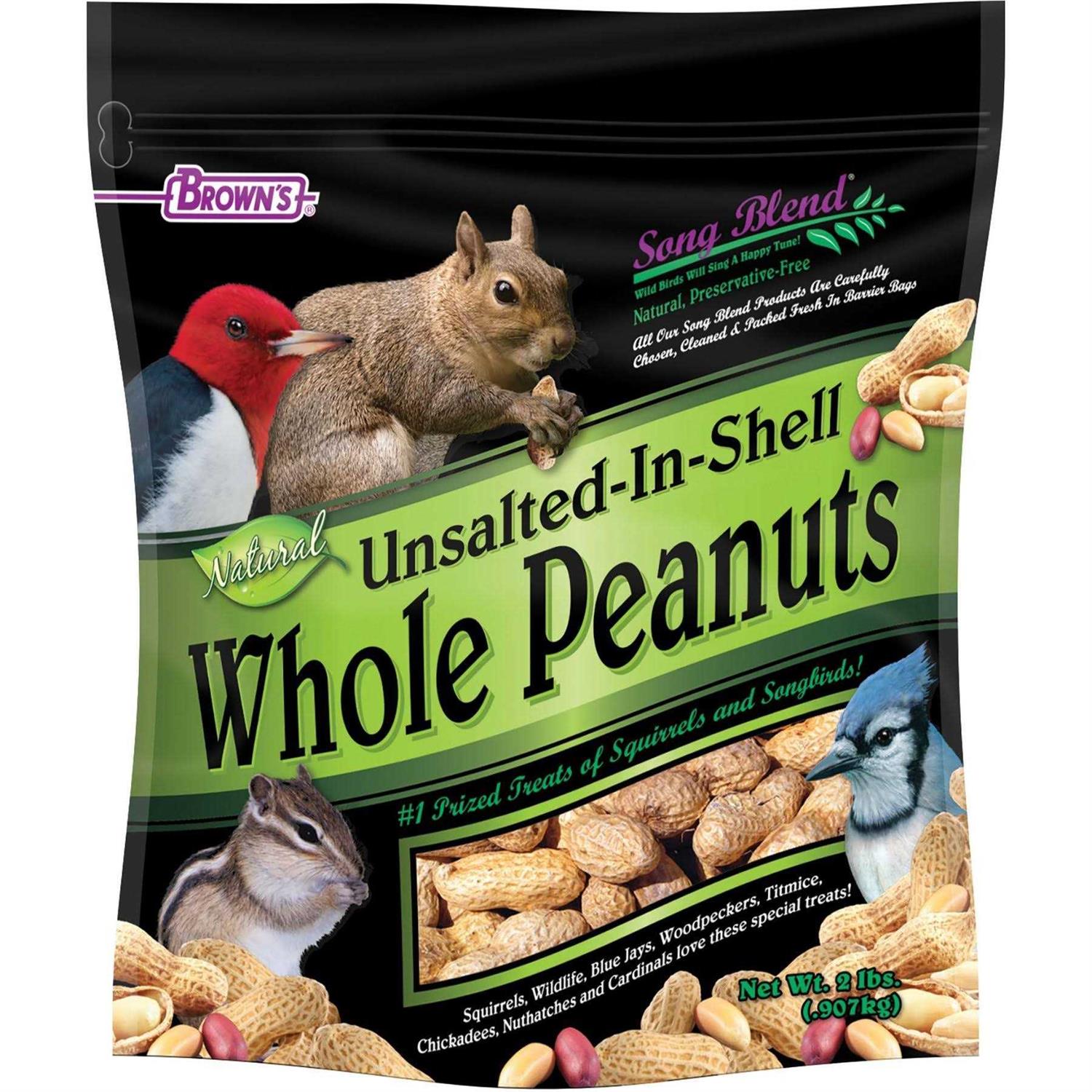 Unsalted In-Shell Whole Peanuts Bird Food E2372