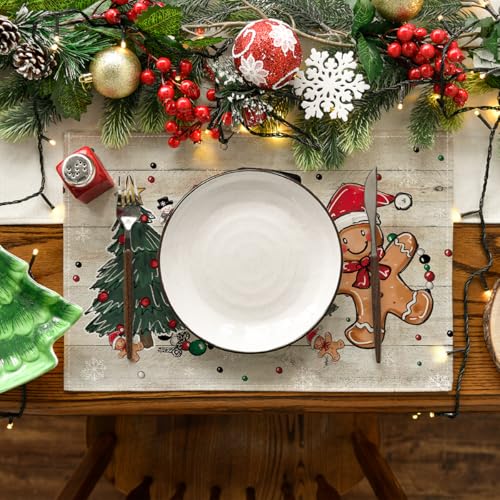 Set of 4 12x18 Inch Christmas Placemats Y2244