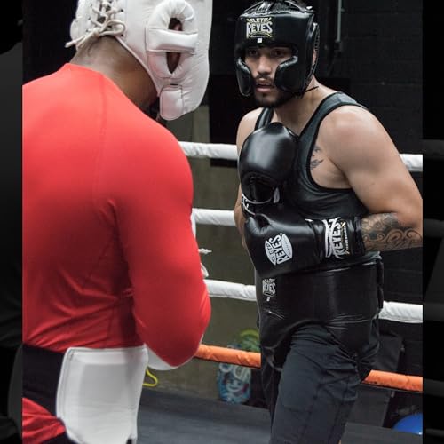 Traditional Professional Boxing Gloves with Laces J760