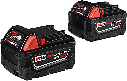 5 Ah Lithium-Ion Battery (2-Pack) T858